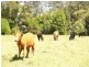 157 Gum Scrub Road, Gum Scrub NSW 2441