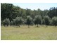 740 Forbes River Road, Birdwood NSW 2446