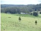 559 Gum Scrub Road, Gum Scrub NSW 2441
