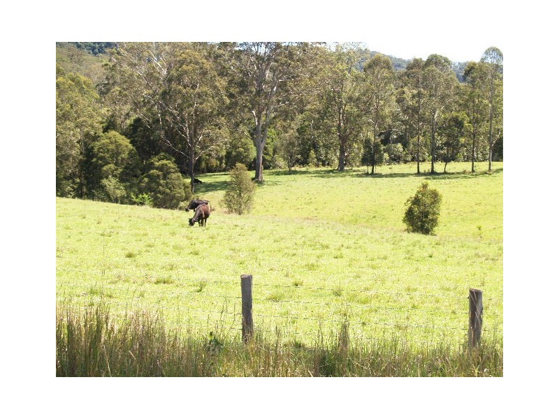 870 Comboyne Road, Byabarra NSW 2446