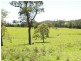 870 Comboyne Road, Byabarra NSW 2446