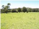 870 Comboyne Road, Byabarra NSW 2446
