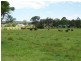 62 King Creek Road, King Creek NSW 2446