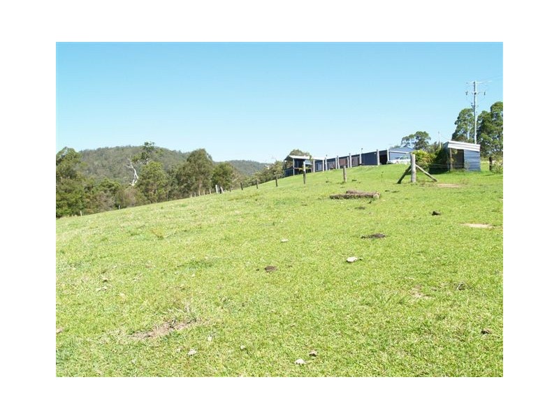 445 Hyndmans Creek Road, Byabarra NSW 2446