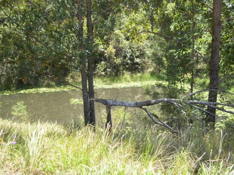 694 Pipeclay Road, Brombin NSW 2446