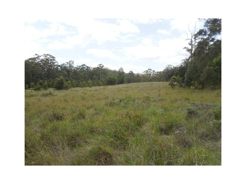 694 Pipeclay Road, Brombin NSW 2446