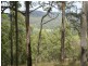 694 Pipeclay Road, Brombin NSW 2446