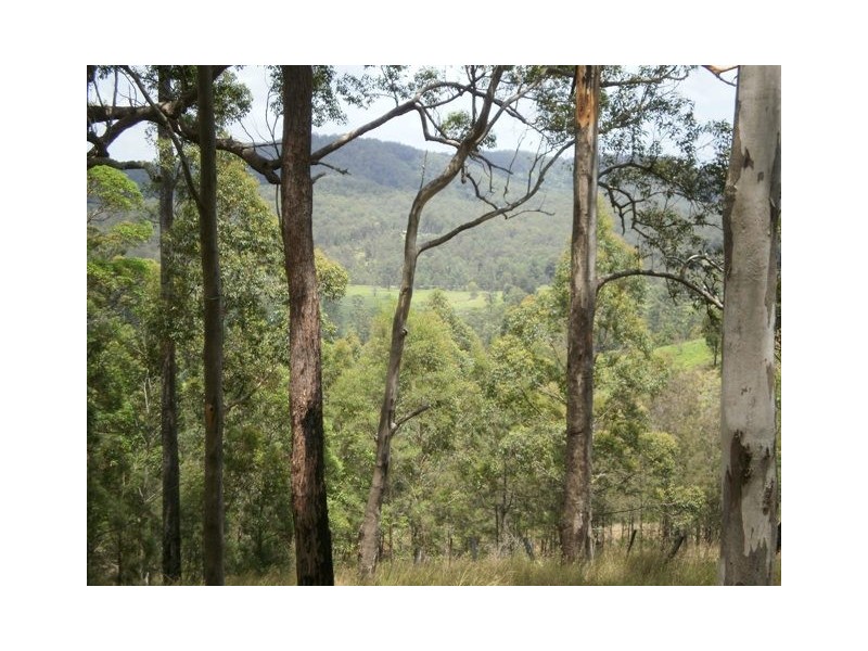 694 Pipeclay Road, Brombin NSW 2446