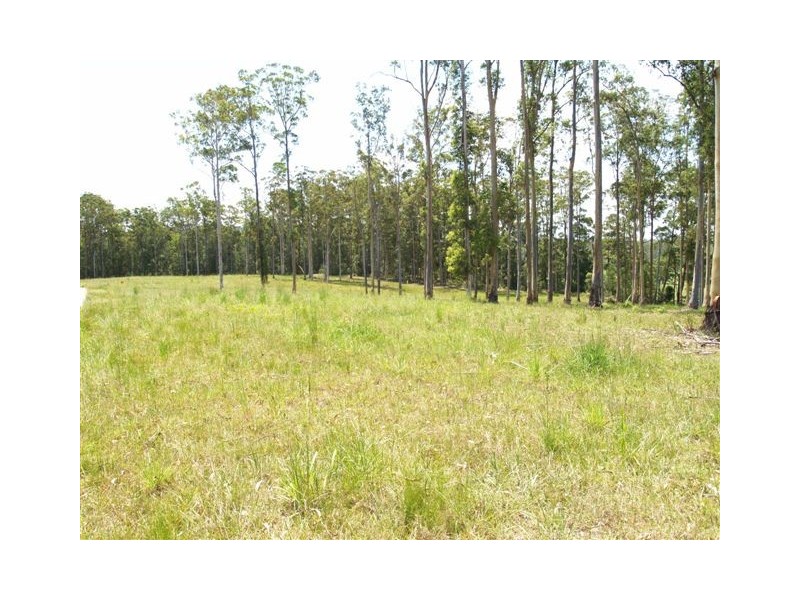 LOT 1  Brookhouse Road, Pembrooke NSW 2446