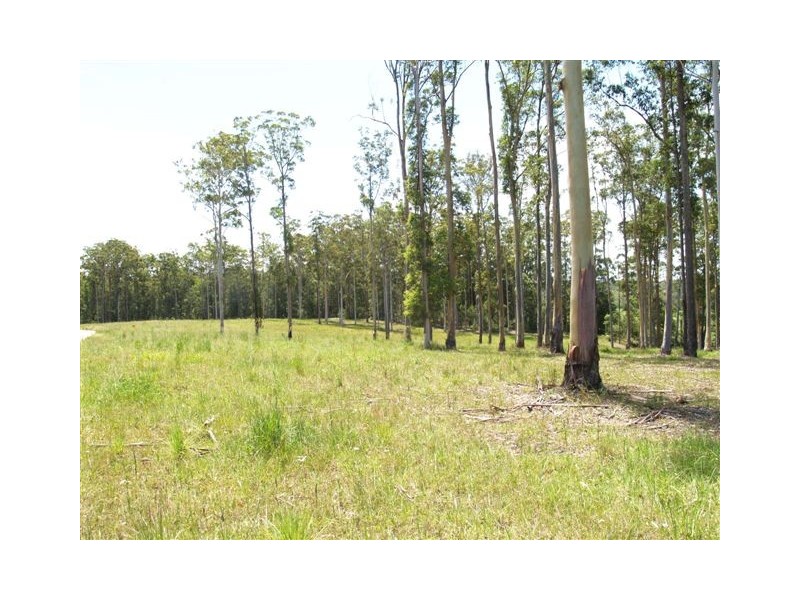 LOT 1  Brookhouse Road, Pembrooke NSW 2446