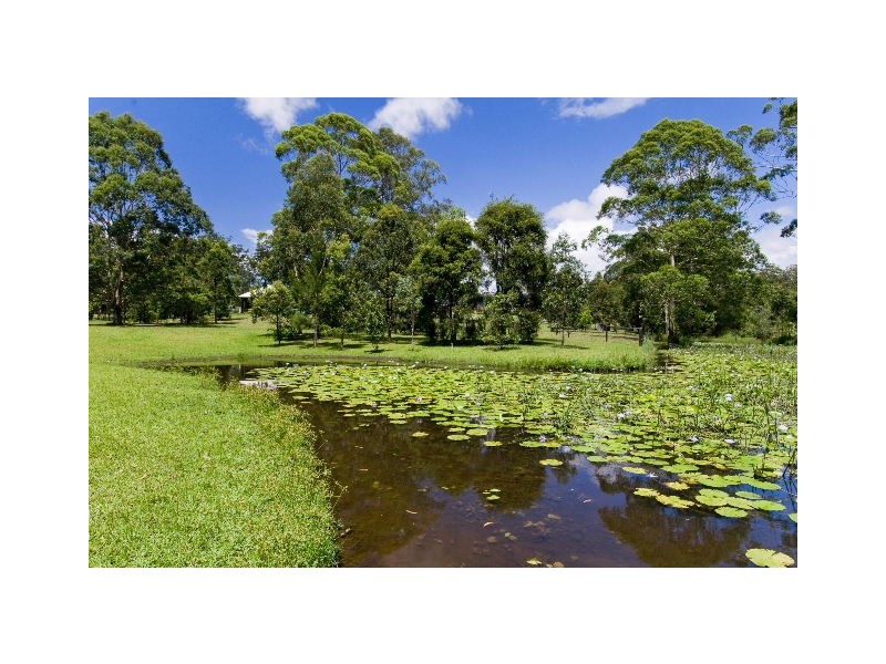 53 Manzanillo Drive, Wauchope NSW 2446