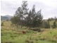 130 Old Highway, Mount Seaview NSW 2446