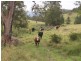 130 Old Highway, Mount Seaview NSW 2446