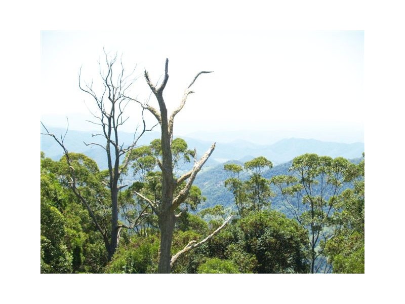 Portion 26 Gardners Lane, Comboyne NSW 2429