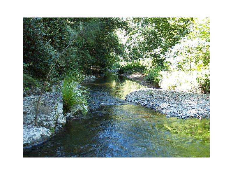 458 Bunnoo River Rd, Ellenborough NSW 2446
