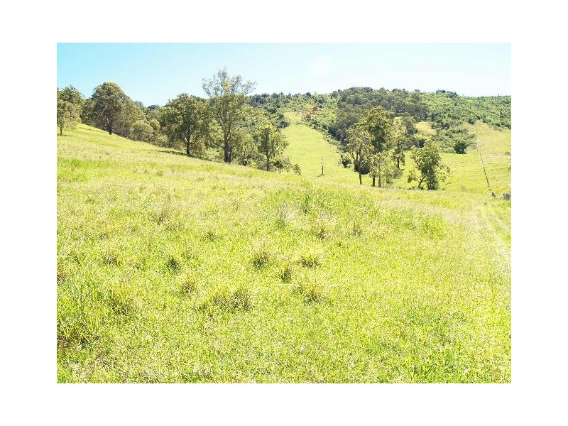 458 Bunnoo River Rd, Ellenborough NSW 2446