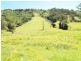 458 Bunnoo River Rd, Ellenborough NSW 2446