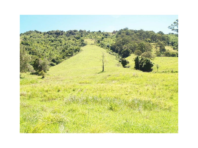 458 Bunnoo River Rd, Ellenborough NSW 2446