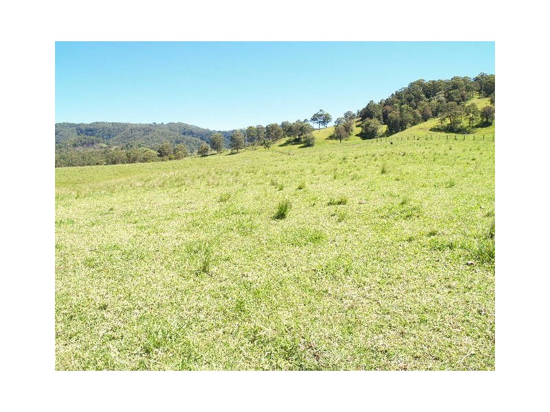 458 Bunnoo River Rd, Ellenborough NSW 2446