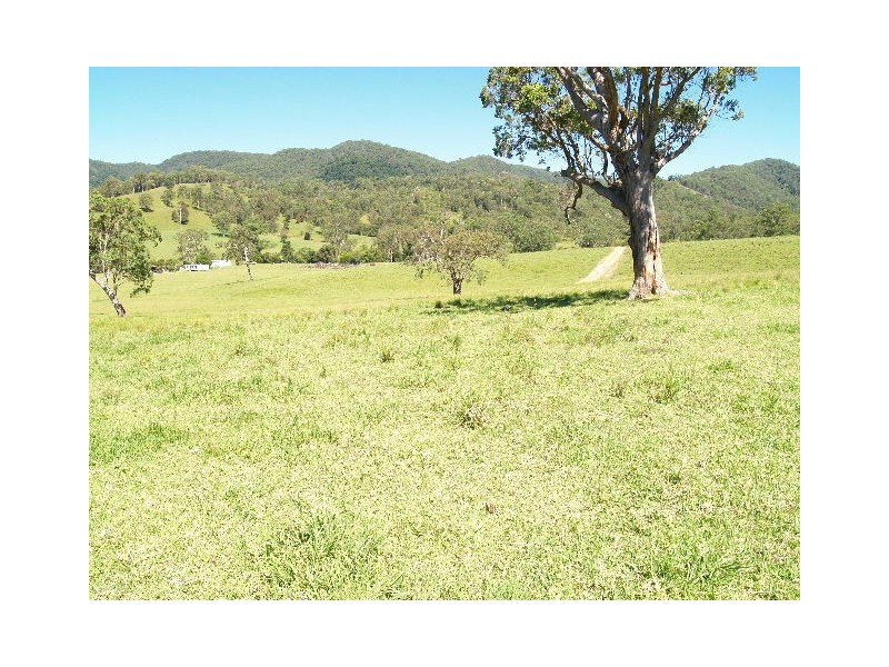 458 Bunnoo River Rd, Ellenborough NSW 2446