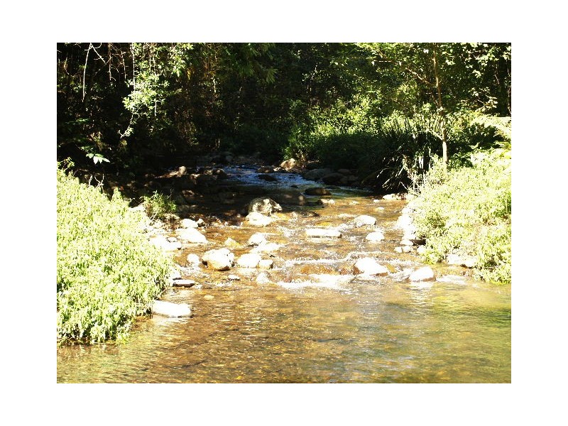 458 Bunnoo River Rd, Ellenborough NSW 2446
