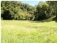 458 Bunnoo River Rd, Ellenborough NSW 2446