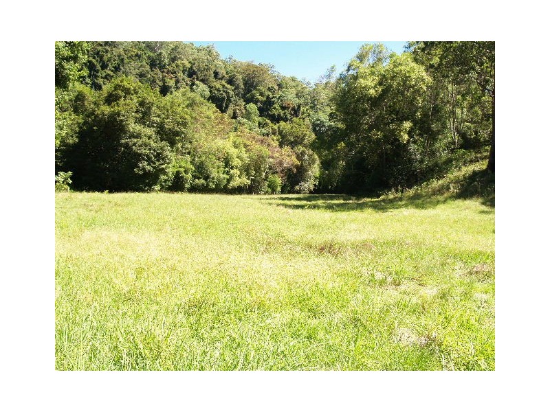 458 Bunnoo River Rd, Ellenborough NSW 2446