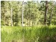 458 Bunnoo River Rd, Ellenborough NSW 2446