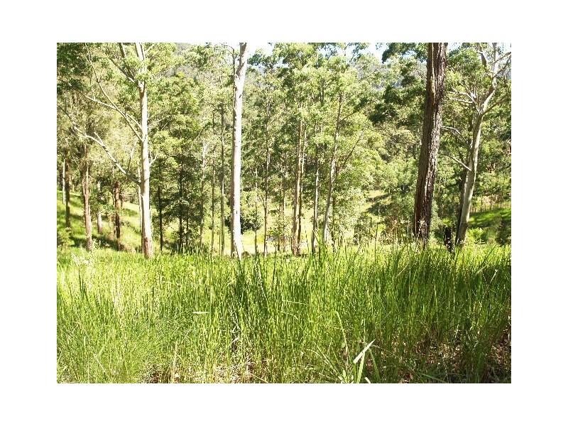 458 Bunnoo River Rd, Ellenborough NSW 2446
