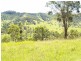 458 Bunnoo River Rd, Ellenborough NSW 2446