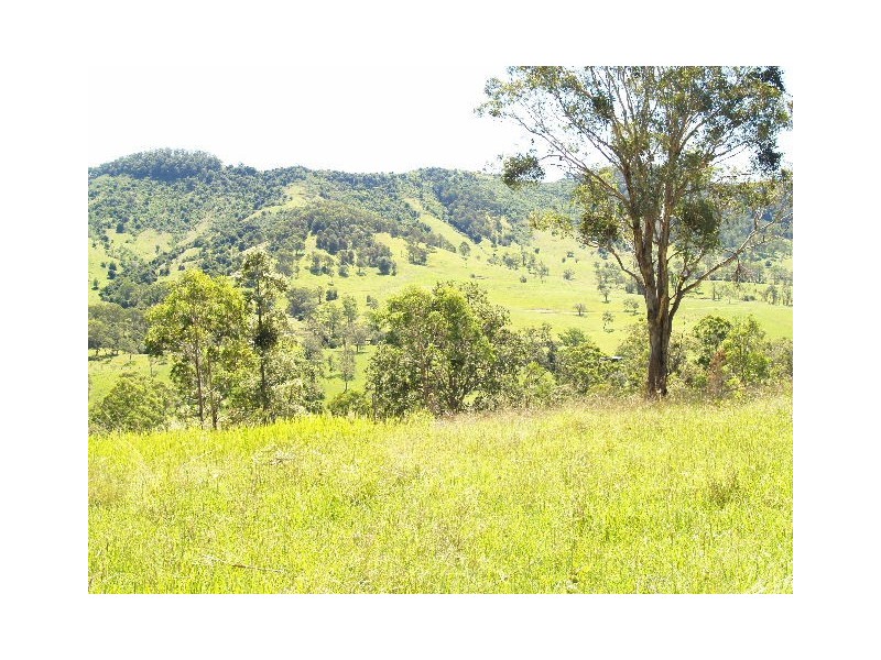 458 Bunnoo River Rd, Ellenborough NSW 2446