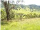 458 Bunnoo River Rd, Ellenborough NSW 2446