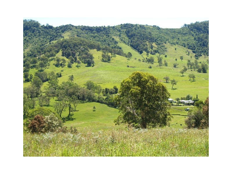 458 Bunnoo River Rd, Ellenborough NSW 2446