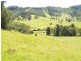 458 Bunnoo River Rd, Ellenborough NSW 2446