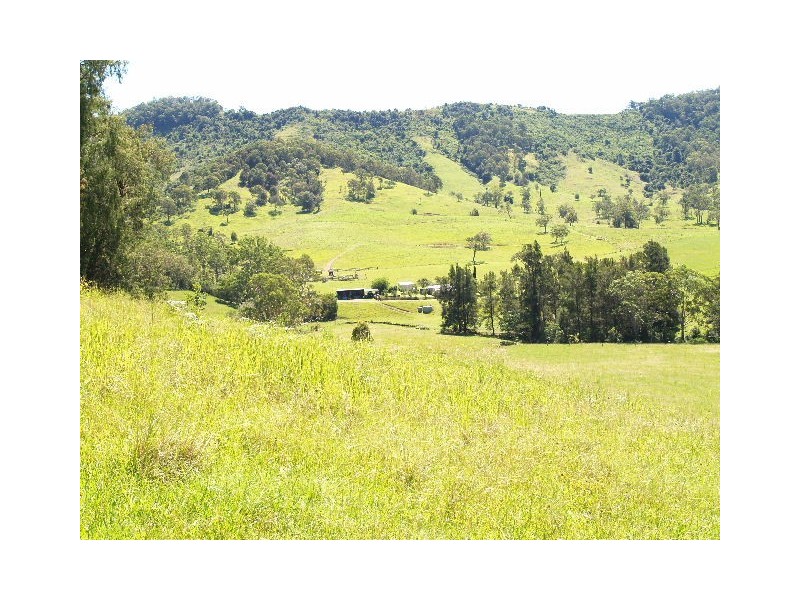 458 Bunnoo River Rd, Ellenborough NSW 2446