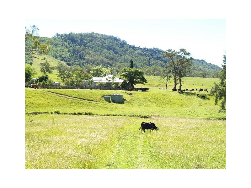 458 Bunnoo River Rd, Ellenborough NSW 2446