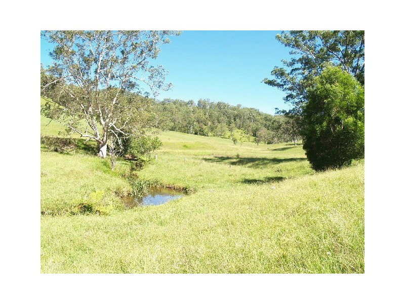 458 Bunnoo River Rd, Ellenborough NSW 2446