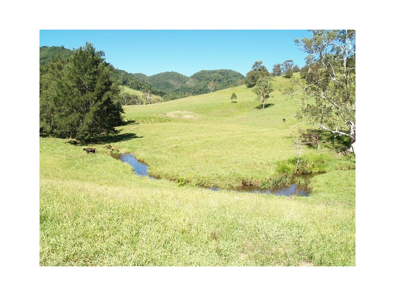 458 Bunnoo River Rd, Ellenborough NSW 2446