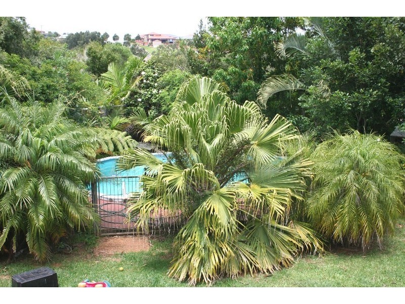 44 Beechtree Circuit, Port Macquarie NSW 2444