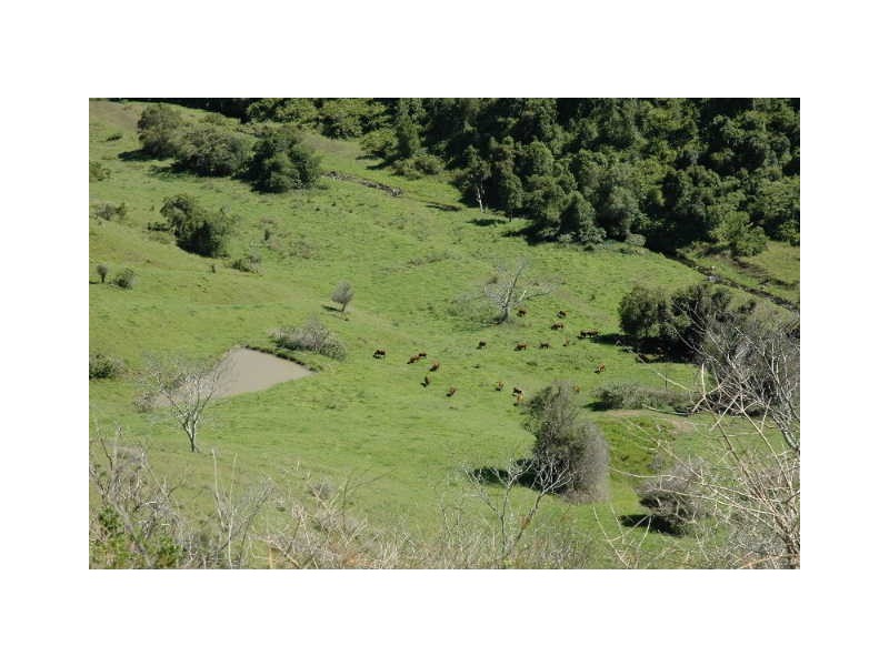 Sunnyside Kindee Road, Kindee NSW 2446