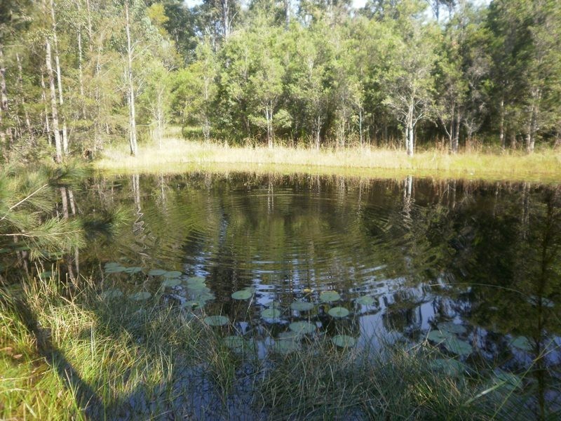 140 Crowther Drive, Kundabung NSW 2441