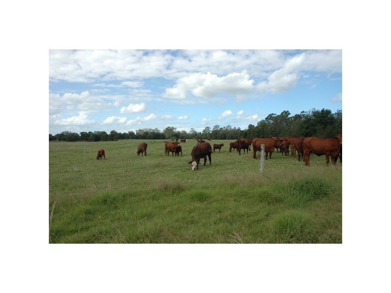 Lot 4/36 Weismantle Street, Wauchope NSW 2446