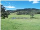 559 Gum Scrub Road, Gum Scrub NSW 2441