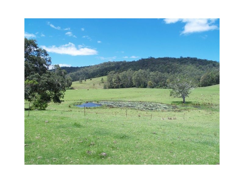 559 Gum Scrub Road, Gum Scrub NSW 2441