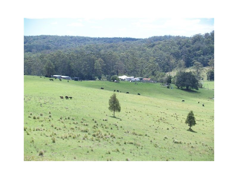 559 Gum Scrub Road, Gum Scrub NSW 2441