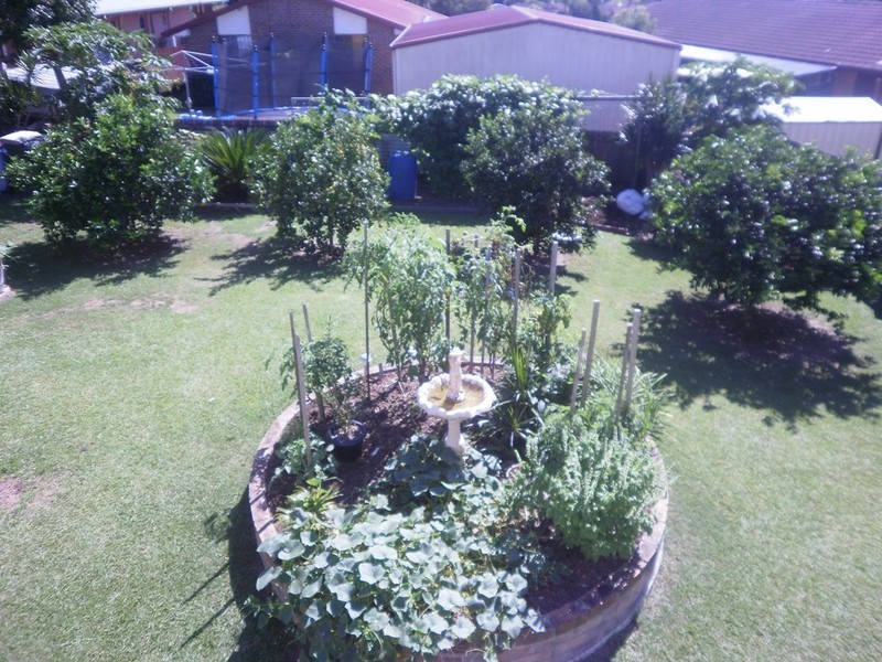 11 Cowarral Circuit, Wauchope NSW 2446