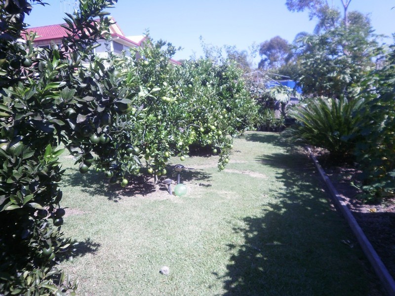 11 Cowarral Circuit, Wauchope NSW 2446
