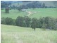 1496 Pipeclay Road, Pipeclay NSW 2446