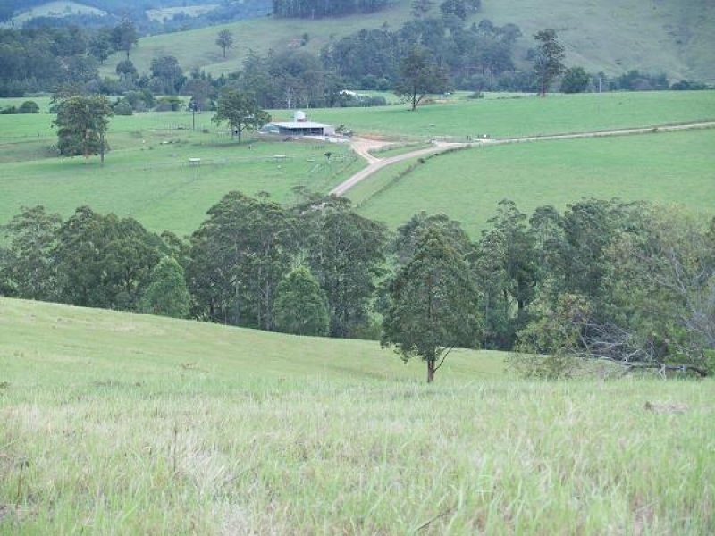 1496 Pipeclay Road, Pipeclay NSW 2446