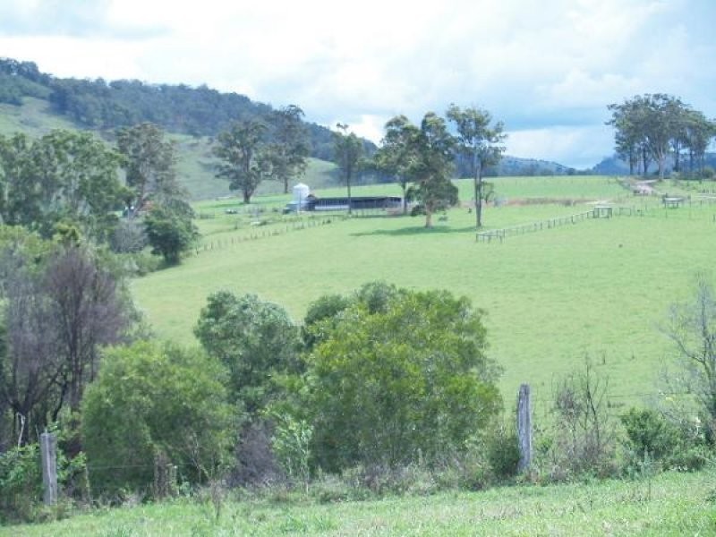 1496 Pipeclay Road, Pipeclay NSW 2446